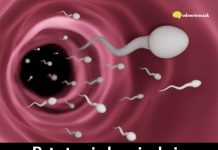 Pet stvari ukazuje da je muškarac neplodan – evo koje Pet stvari ukazuje da je muškarac neplodan – evo koje - featured image