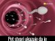 Pet stvari ukazuje da je muškarac neplodan – evo koje Pet stvari ukazuje da je muškarac neplodan – evo koje - featured image