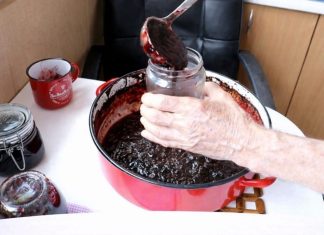 Prirodni voćni namaz koji može podržati zdravu probavu Prirodni voćni namaz koji može podržati zdravu probavu - featured image