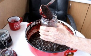 Prirodni voćni namaz koji može podržati zdravu probavu Prirodni voćni namaz koji može podržati zdravu probavu - featured image