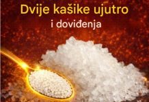 Dvije kašike ujutu i recite doviđenja bolovima u kostima, hrskavici, anksioznosti… Dvije kašike ujutu i recite doviđenja bolovima u kostima, hrskavici, anksioznosti… - featured image