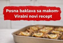 Posna baklava sa makom, viralni novi recept Posna baklava sa makom, viralni novi recept - featured image