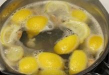 RECEPT – Skuvajte limun pred spavanje i popijte tečnost ujutru – Evo šta će se desiti sa vašim telom! RECEPT – Skuvajte limun pred spavanje i popijte tečnost ujutru – Evo šta će se desiti sa vašim telom! - featured image