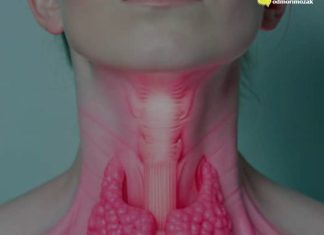 Manje jedite ove namirnice: Štitnjača će vam biti zdravija Manje jedite ove namirnice: Štitnjača će vam biti zdravija - featured image