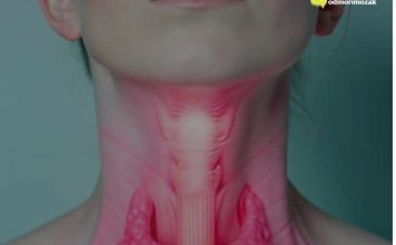 Manje jedite ove namirnice: Štitnjača će vam biti zdravija Manje jedite ove namirnice: Štitnjača će vam biti zdravija - featured image