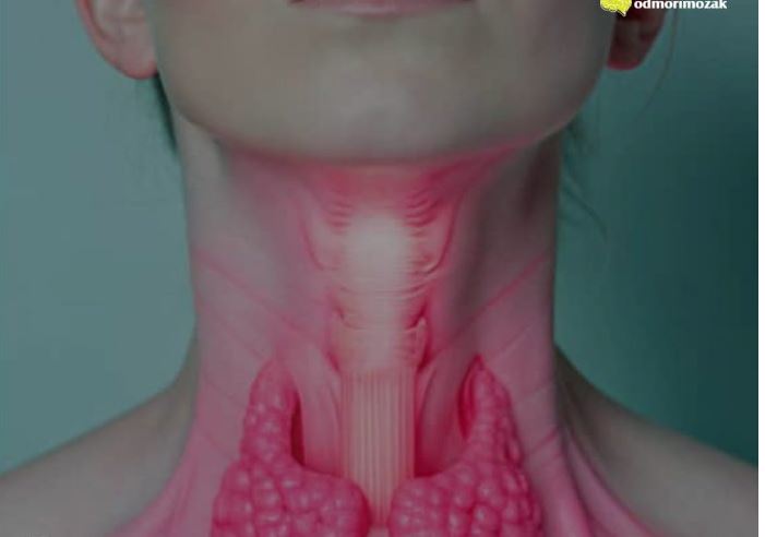 Manje jedite ove namirnice: Štitnjača će vam biti zdravija - featured image