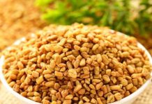 Ovu biljku skoro niko ne jede u Srbiji, a u njoj se krije pravo blago, čini čuda za organizam: Endokrinolog otkriva sve njene blagodeti Ovu biljku skoro niko ne jede u Srbiji, a u njoj se krije pravo blago, čini čuda za organizam: Endokrinolog otkriva sve njene blagodeti - featured image