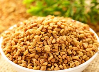 Ovu biljku skoro niko ne jede u Srbiji, a u njoj se krije pravo blago, čini čuda za organizam: Endokrinolog otkriva sve njene blagodeti Ovu biljku skoro niko ne jede u Srbiji, a u njoj se krije pravo blago, čini čuda za organizam: Endokrinolog otkriva sve njene blagodeti - featured image