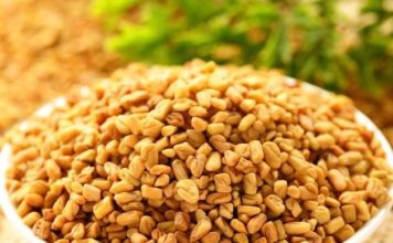 Ovu biljku skoro niko ne jede u Srbiji, a u njoj se krije pravo blago, čini čuda za organizam: Endokrinolog otkriva sve njene blagodeti Ovu biljku skoro niko ne jede u Srbiji, a u njoj se krije pravo blago, čini čuda za organizam: Endokrinolog otkriva sve njene blagodeti - featured image