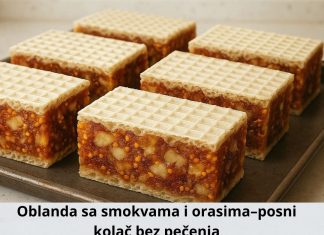 Oblanda sa smokvama i orasima–posni kolač bez pečenja Oblanda sa smokvama i orasima–posni kolač bez pečenja - featured image