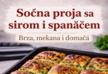 Pancerote iz rerne. Mekane, punjene šunkom i sirom… Pancerote iz rerne. Mekane, punjene šunkom i sirom… - featured image