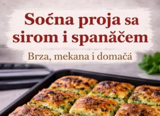 Pancerote iz rerne. Mekane, punjene šunkom i sirom… Pancerote iz rerne. Mekane, punjene šunkom i sirom… - featured image