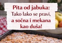 Pita od jabuka ,tako laka, a neverovatno sočna i mekana Pita od jabuka ,tako laka, a neverovatno sočna i mekana - featured image