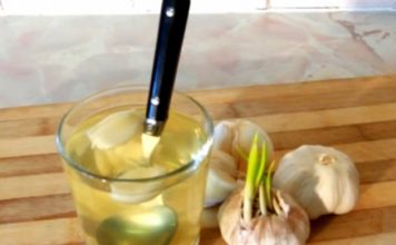 SVI ZNAMO KOLIKO JE LJEKOVIT BIJELI LUK, ALI OVO DO SADA NISTE ČULI: Voda od bijelog luka pravi ČUDA U ORGANIZMU, evo na šta sve utiče SVI ZNAMO KOLIKO JE LJEKOVIT BIJELI LUK, ALI OVO DO SADA NISTE ČULI: Voda od bijelog luka pravi ČUDA U ORGANIZMU, evo na šta sve utiče - featured image