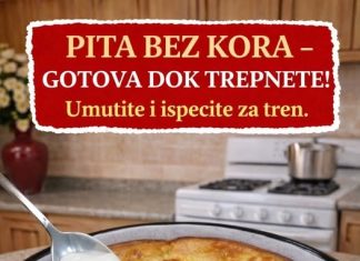 PITA BEZ KORA – GOTOVA DOK TREPNETE-Unutite i ispecite za tren… PITA BEZ KORA – GOTOVA DOK TREPNETE-Unutite i ispecite za tren… - featured image