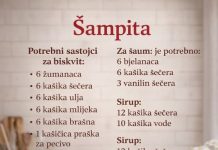 🍰 ŠAMPITA – STARINSKI RECEPT 🍰 ŠAMPITA – STARINSKI RECEPT - featured image