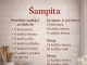 🍰 ŠAMPITA – STARINSKI RECEPT 🍰 ŠAMPITA – STARINSKI RECEPT - featured image