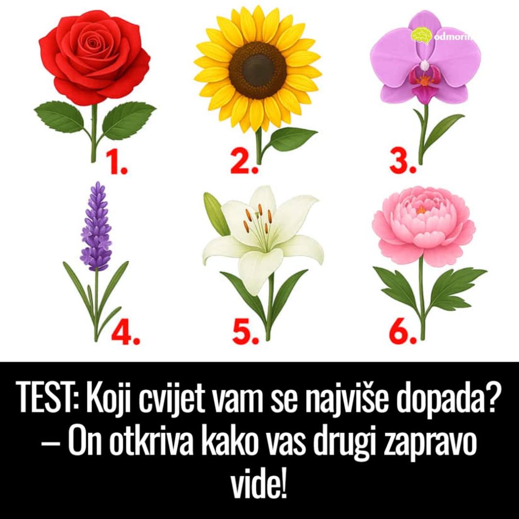 TEST: Koji cvijet vam se najviše dopada? – On otkriva kako vas drugi zapravo vide! - featured image