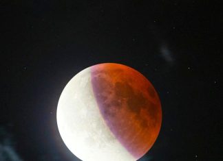 Dramatičan “krvavi Mjesec” se pojavljuje na nebu usred kaosa u svijetu Dramatičan “krvavi Mjesec” se pojavljuje na nebu usred kaosa u svijetu - featured image