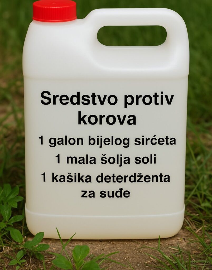 Kako Napraviti Efikasan Prirodni Herbicid za Vašu Baštu i Prirodno se Riješiti Korova - featured image