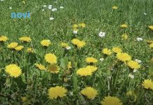 Ova 3 znaka će biti najsretnija u martu 2026: Očekuje ih preokret kojem se nisu nadali Ova 3 znaka će biti najsretnija u martu 2026: Očekuje ih preokret kojem se nisu nadali - featured image