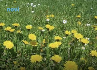 Ova 3 znaka će biti najsretnija u martu 2026: Očekuje ih preokret kojem se nisu nadali Ova 3 znaka će biti najsretnija u martu 2026: Očekuje ih preokret kojem se nisu nadali - featured image