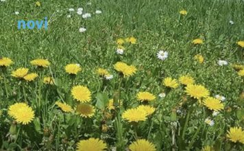 Ova 3 znaka će biti najsretnija u martu 2026: Očekuje ih preokret kojem se nisu nadali Ova 3 znaka će biti najsretnija u martu 2026: Očekuje ih preokret kojem se nisu nadali - featured image