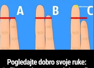 Pogledajte dobro svoje ruke: Dužina malog prsta otkriva vaše najvažnije osobine Pogledajte dobro svoje ruke: Dužina malog prsta otkriva vaše najvažnije osobine - featured image