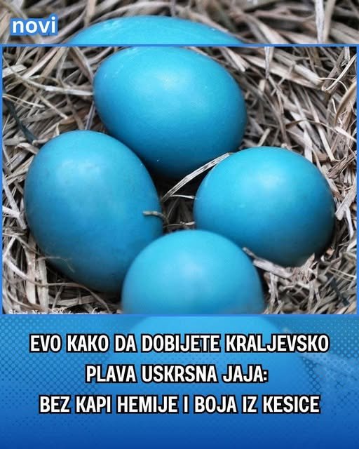 Evo kako da dobijete kraljevsko plava uskrsna jaja: Bez kapi hemije i boja iz kesice - featured image