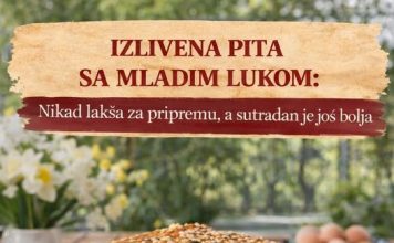 Izlivena pita sa mladim lukom – nikad lakša za pripremu Izlivena pita sa mladim lukom – nikad lakša za pripremu - featured image