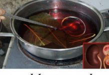 JEDNA ČAŠA UJUTRO I NAVEČER: Ovi listovi mogu očistiti vaše bubrege i učiniti da rade besprijekorno! JEDNA ČAŠA UJUTRO I NAVEČER: Ovi listovi mogu očistiti vaše bubrege i učiniti da rade besprijekorno! - featured image