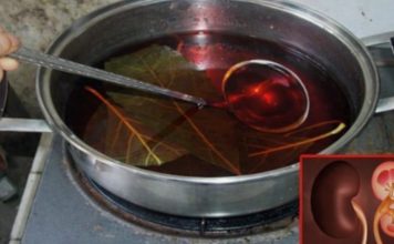 JEDNA ČAŠA UJUTRO I NAVEČER: Ovi listovi mogu očistiti vaše bubrege i učiniti da rade besprijekorno! JEDNA ČAŠA UJUTRO I NAVEČER: Ovi listovi mogu očistiti vaše bubrege i učiniti da rade besprijekorno! - featured image