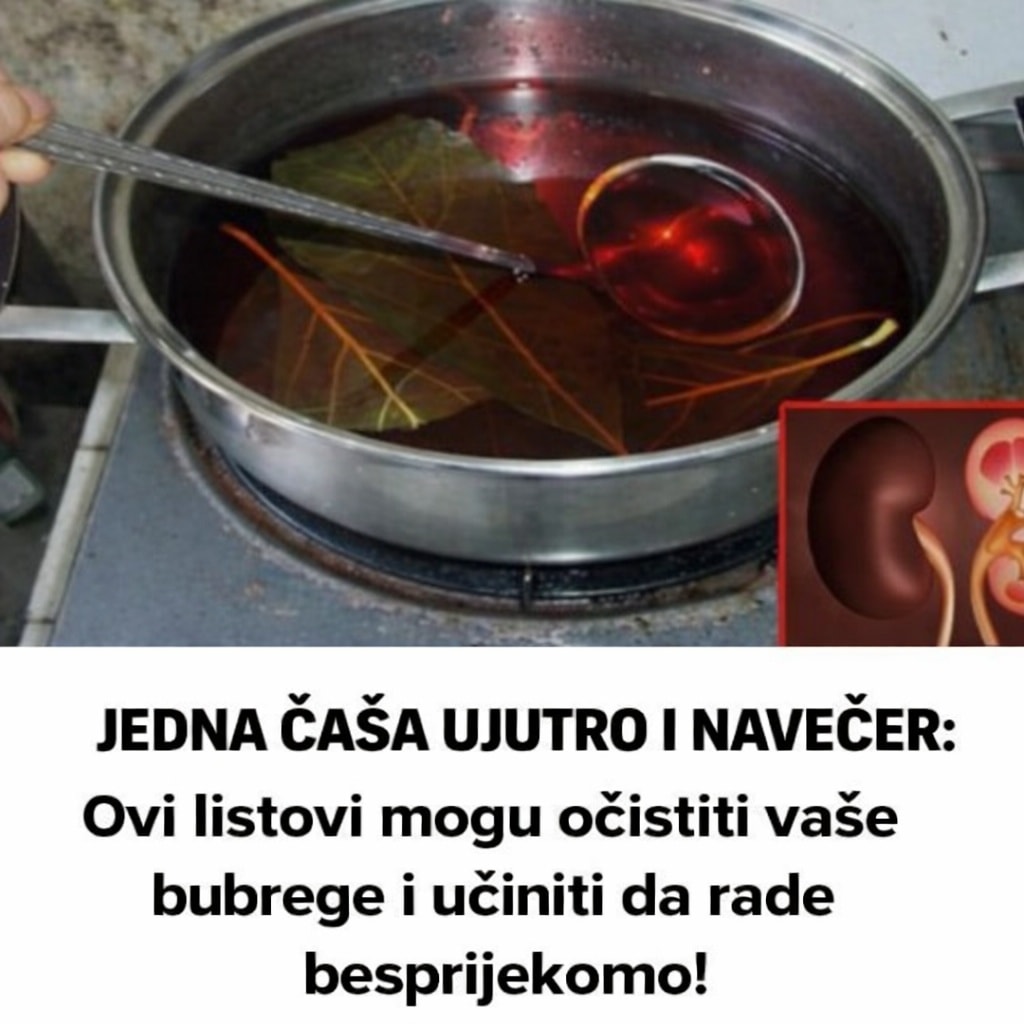 JEDNA ČAŠA UJUTRO I NAVEČER: Ovi listovi mogu očistiti vaše bubrege i učiniti da rade besprijekorno! - featured image