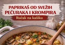 Paprikaš od svežih pečuraka i krompira – Rucak na kašiku Paprikaš od svežih pečuraka i krompira – Rucak na kašiku - featured image