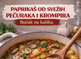 Paprikaš od svežih pečuraka i krompira – Rucak na kašiku Paprikaš od svežih pečuraka i krompira – Rucak na kašiku - featured image