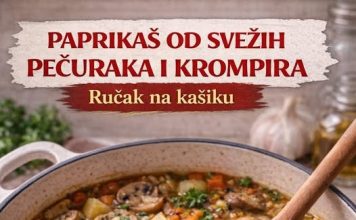 Paprikaš od svežih pečuraka i krompira – Rucak na kašiku Paprikaš od svežih pečuraka i krompira – Rucak na kašiku - featured image