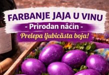 FARBANJE JAJA U VINU, prirodan nacin, prelepa ljubičasta boja… FARBANJE JAJA U VINU, prirodan nacin, prelepa ljubičasta boja… - featured image