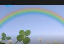 0vim 3 horoskopskim znakovima za vikend stižu dobre vijesti! 0vim 3 horoskopskim znakovima za vikend stižu dobre vijesti! - featured image