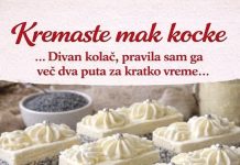 Kremaste mak kocke … Divan kolač, pravila sam ga već dva puta za kratko vreme Kremaste mak kocke … Divan kolač, pravila sam ga već dva puta za kratko vreme - featured image
