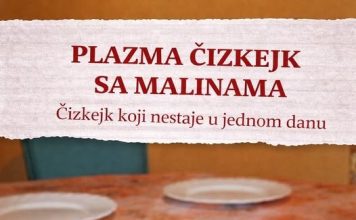 PLAZMA ČIZKEJK SA MALINAMA Čizkejk koji nestaje u jednom danu PLAZMA ČIZKEJK SA MALINAMA Čizkejk koji nestaje u jednom danu - featured image