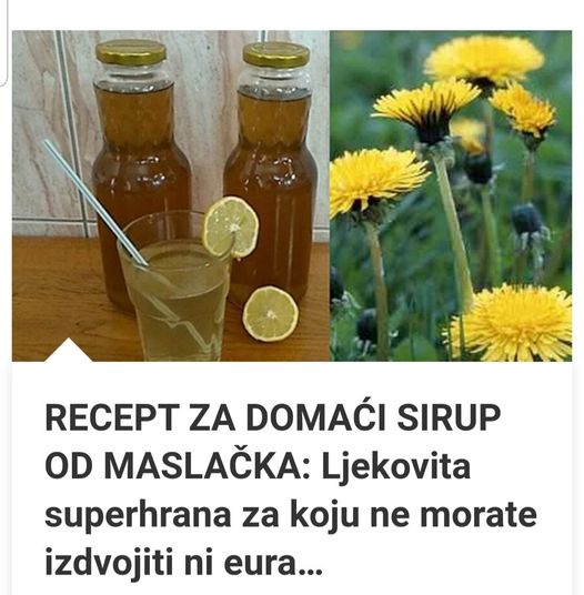DOMAĆI SIRUP OD MASLAČKA: Ljekovita superhrana koja ne košta ni eura… - featured image