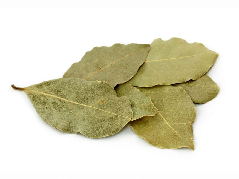 Stavite list lovora u čarapu: Prirodni lijek koji ublažava bolove tokom noći - featured image