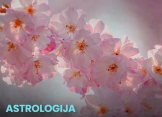 Od 1. aprila kreće najljepše vrijeme za ova 3 horoskopska znaka Od 1. aprila kreće najljepše vrijeme za ova 3 horoskopska znaka - featured image