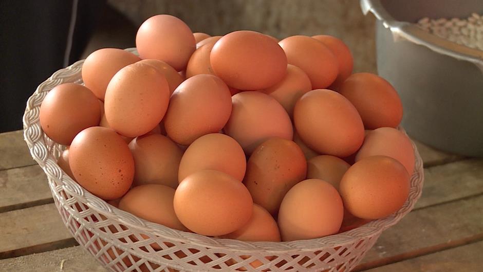 Sedmodnevni eksperiment s jajima: Šta se desilo kada je svakog jutra jela po tri jaja? - featured image Sedmodnevni eksperiment s jajima: Šta se desilo kada je svakog jutra jela po tri jaja? - featured image