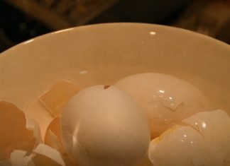 Ljuske od jaja ne bacajte: PomijeÅ”ajte ih sa sirÄetom i napravite korisnu smjesu za dom Ljuske od jaja ne bacajte: PomijeÅ”ajte ih sa sirÄetom i napravite korisnu smjesu za dom - featured image