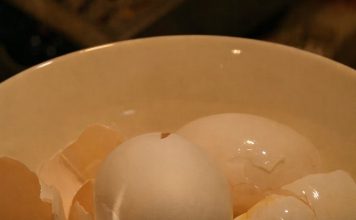 Ljuske od jaja ne bacajte: PomijeÅ”ajte ih sa sirÄetom i napravite korisnu smjesu za dom Ljuske od jaja ne bacajte: PomijeÅ”ajte ih sa sirÄetom i napravite korisnu smjesu za dom - featured image