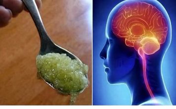 I LJEKARI ZBUNJENI: Ovaj recept povećava memoriju i koncentraciju za 75% nakon samo 2 sedmice I LJEKARI ZBUNJENI: Ovaj recept povećava memoriju i koncentraciju za 75% nakon samo 2 sedmice - featured image