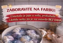 ZABORAVITE NA FARBU: Umotala je jaja u svilu, prokuhala i dobila nešto što je sve ostavilo BEZ DAHA ZABORAVITE NA FARBU: Umotala je jaja u svilu, prokuhala i dobila nešto što je sve ostavilo BEZ DAHA - featured image