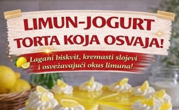 LIMUN-JOGURT TORTA KOJA OSVAJA! – Lagani biskvit, kremasti slojevi i osvežavajući okus limuna! LIMUN-JOGURT TORTA KOJA OSVAJA! – Lagani biskvit, kremasti slojevi i osvežavajući okus limuna! - featured image