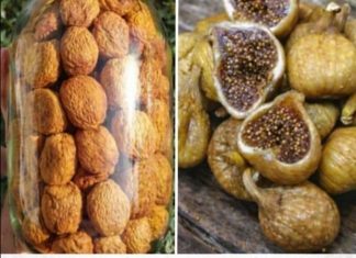 ČISTI BAKTERIJE I LIJEČI ŽELUDAC: Narodni lijek od 40 smokava za 40 dana ČISTI BAKTERIJE I LIJEČI ŽELUDAC: Narodni lijek od 40 smokava za 40 dana - featured image